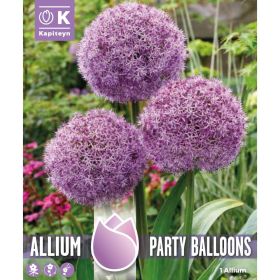 Allium Party Balloons - 1 Bulb